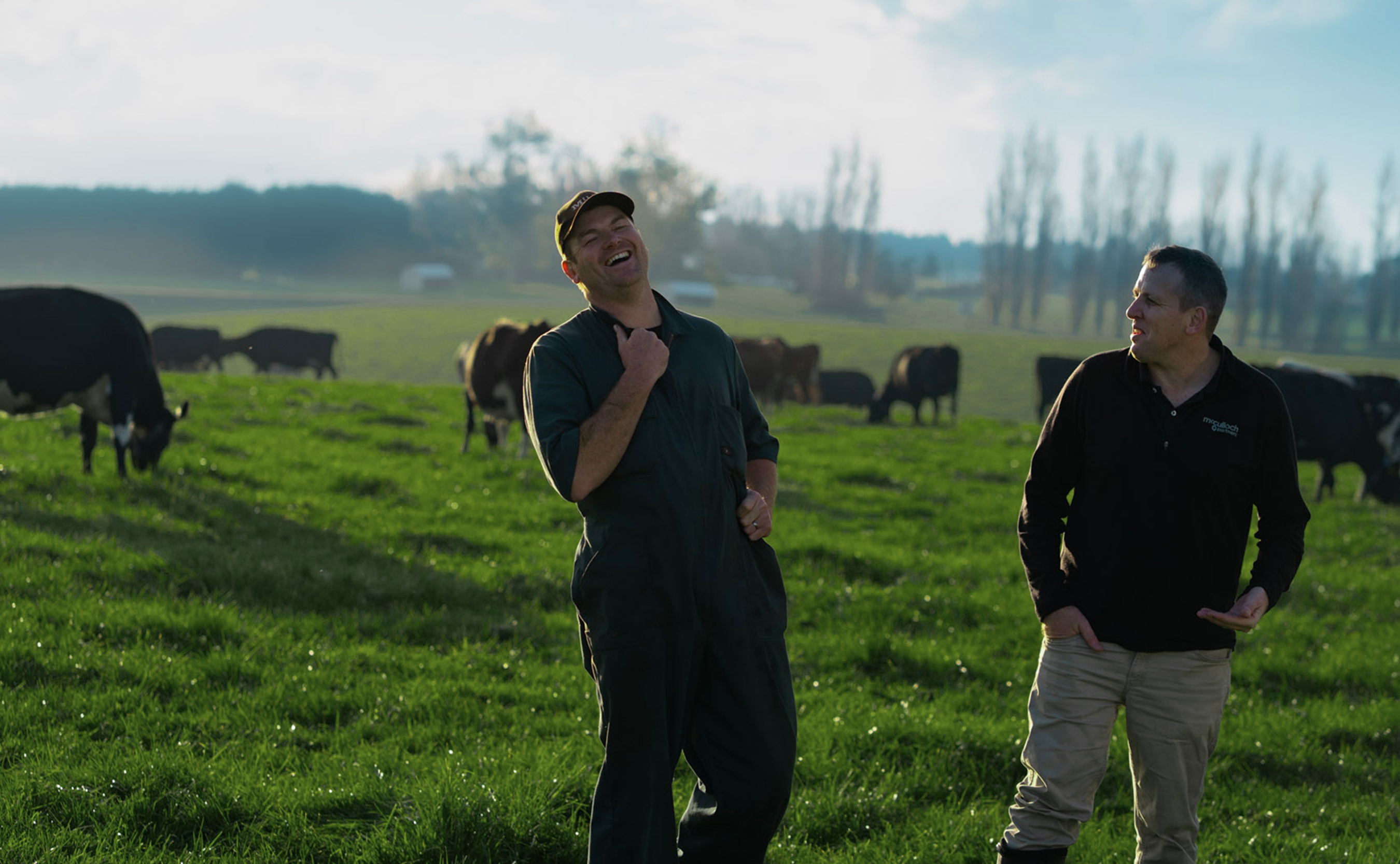 A dairy farmer and his adviser sharing a laugh in a paddock, herd grazing behind