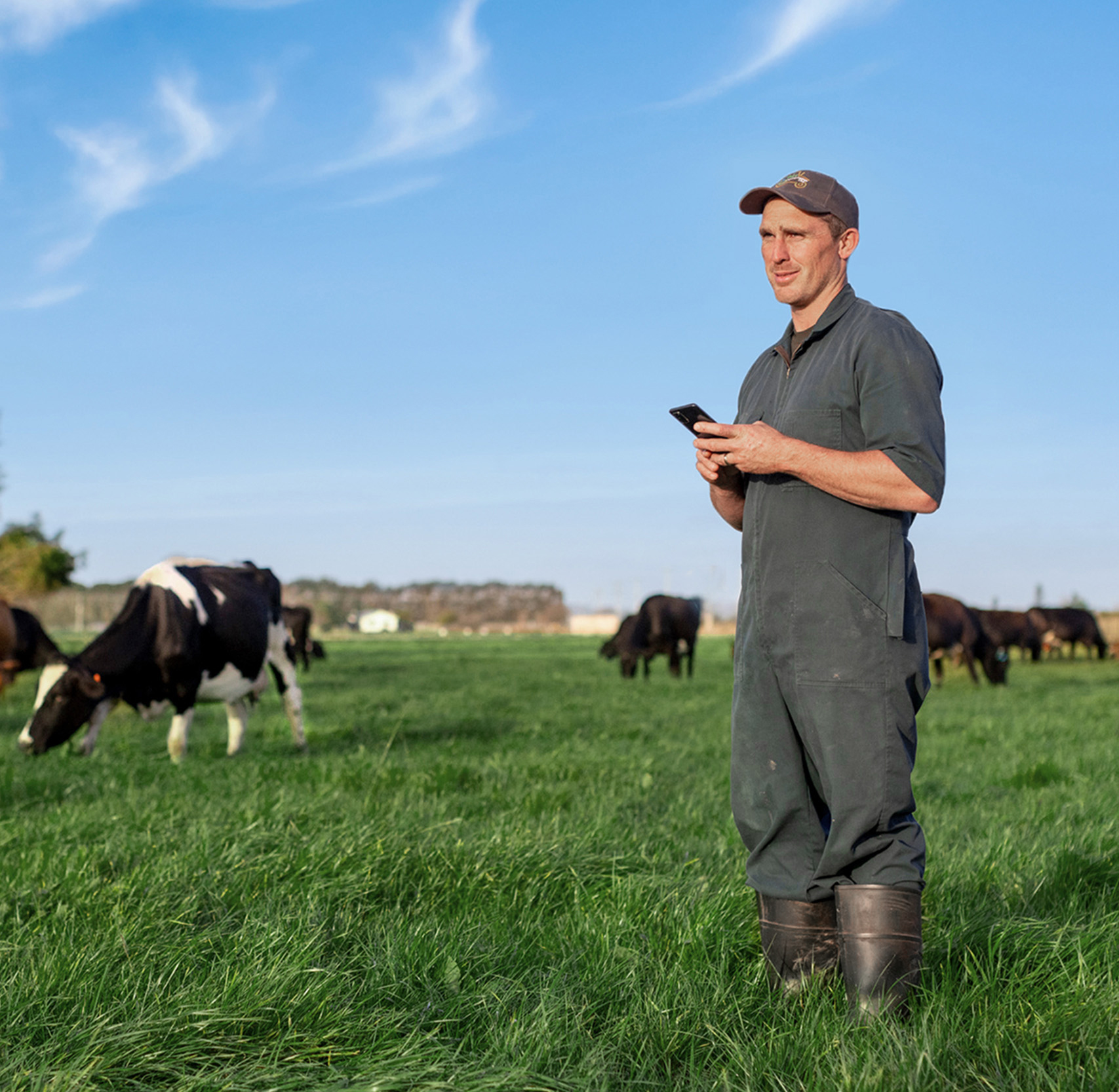 A dairy farmer in the paddock with his herd