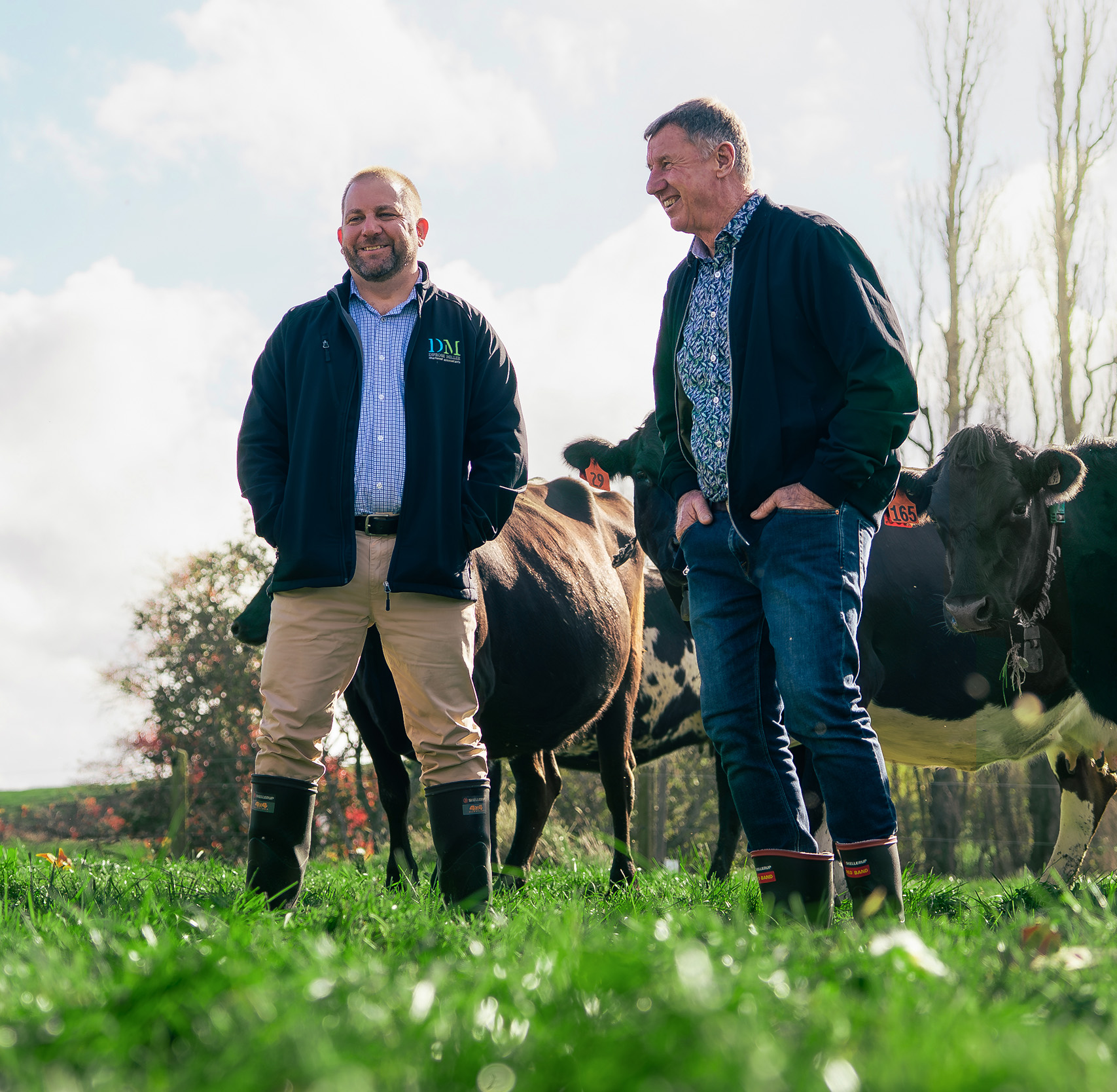 A dairy farmer and his adviser walking through a paddock together, cows grazing behind