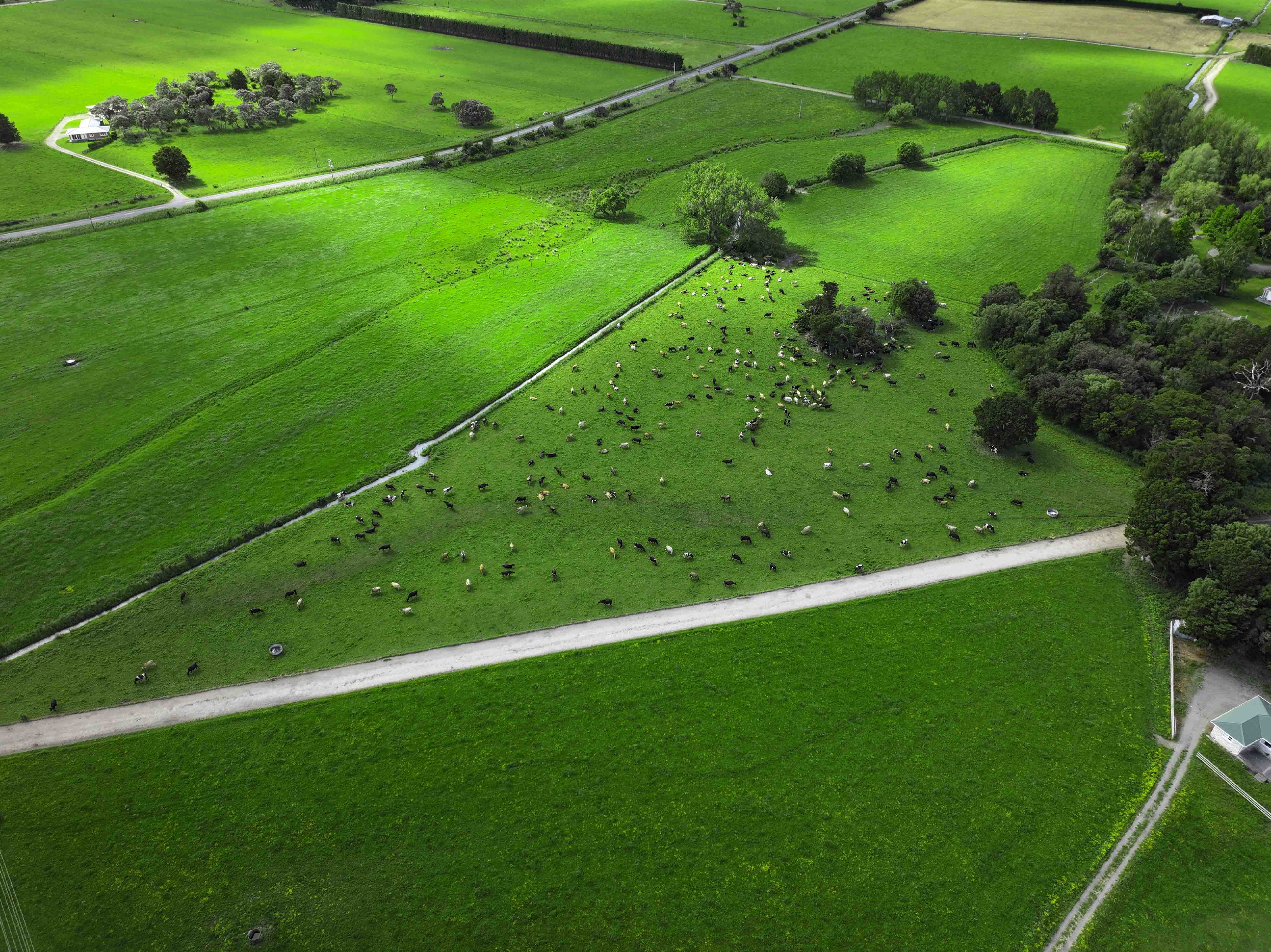 Multi-farm operation