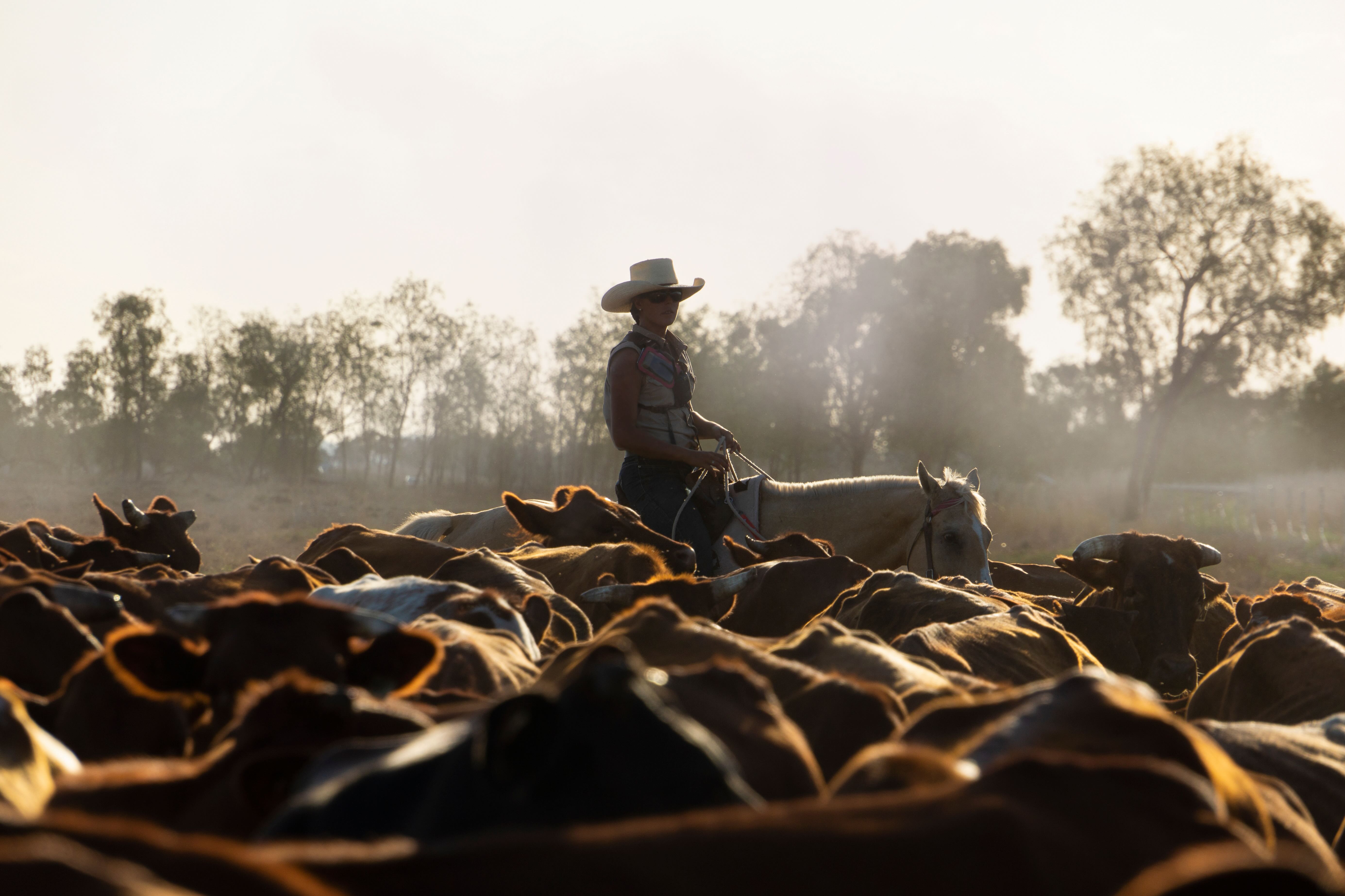au-farmer-cattle