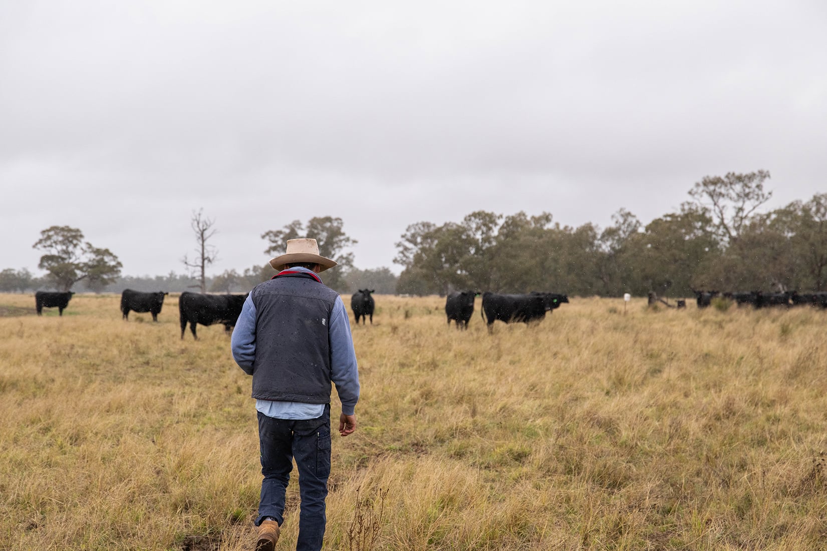 au-livestockfarmer2
