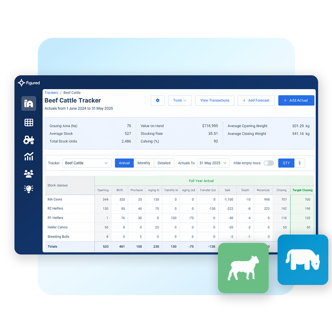 fm-product-image-square-production-sheep-beef