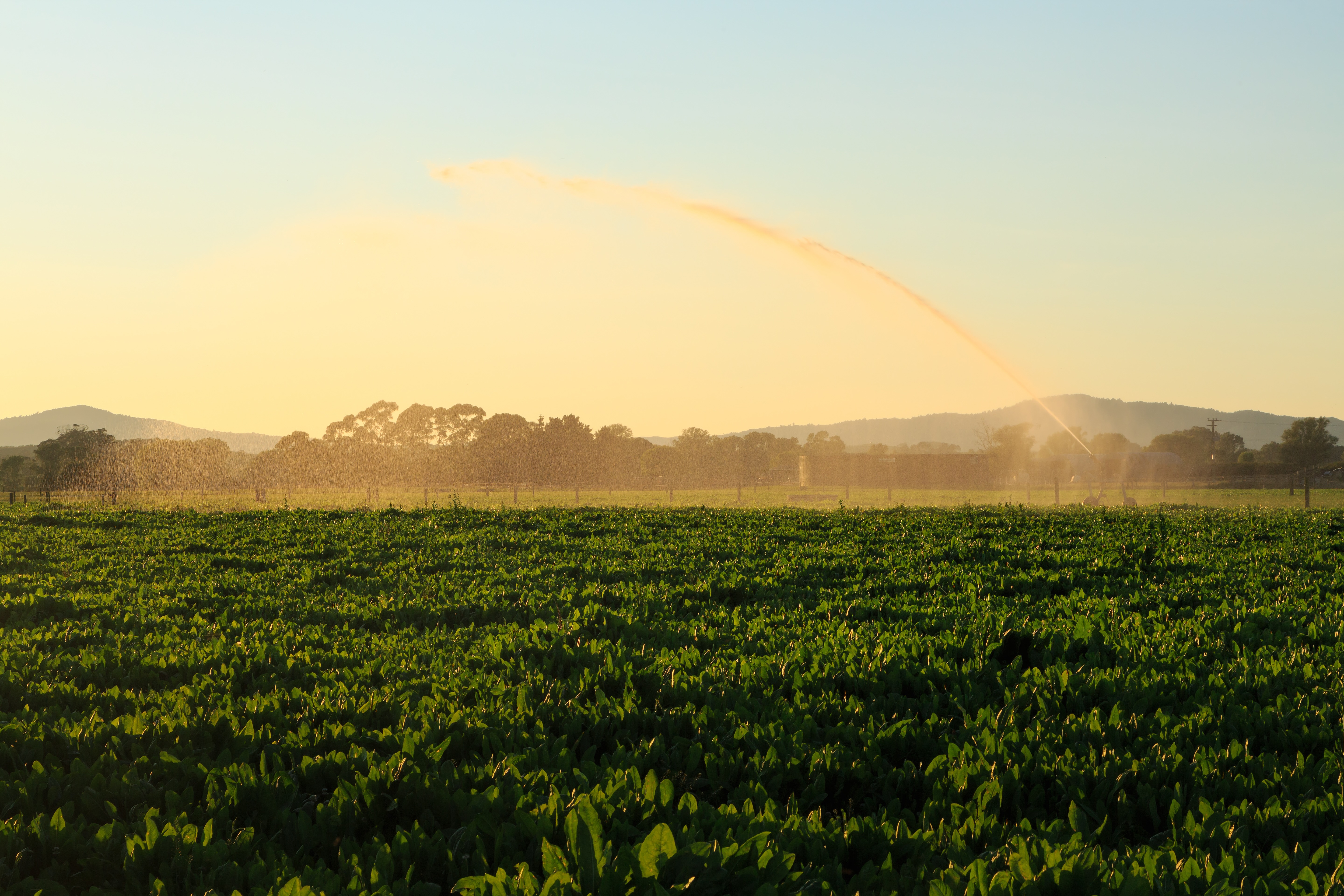nz-irrigator
