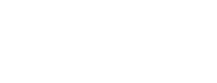 schurr-ireland-logo