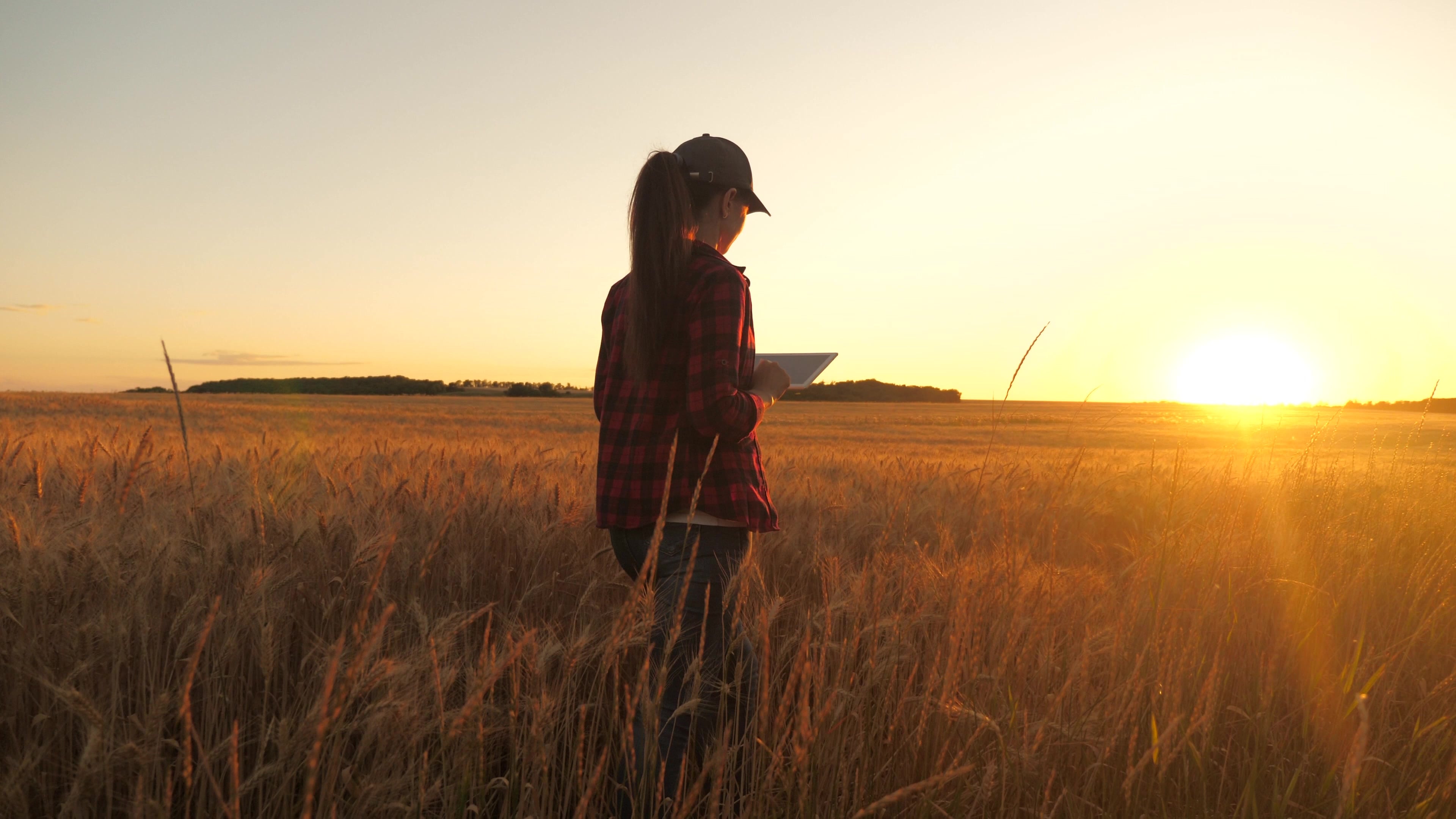 An uncertain harvest could mean more financial risk for Farmers